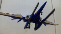 MG rhu[X^[